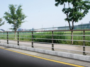 SJF-006